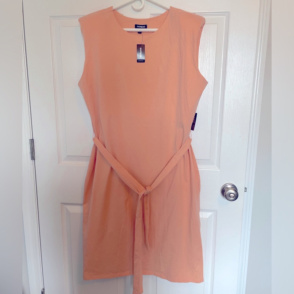 Express shift dress